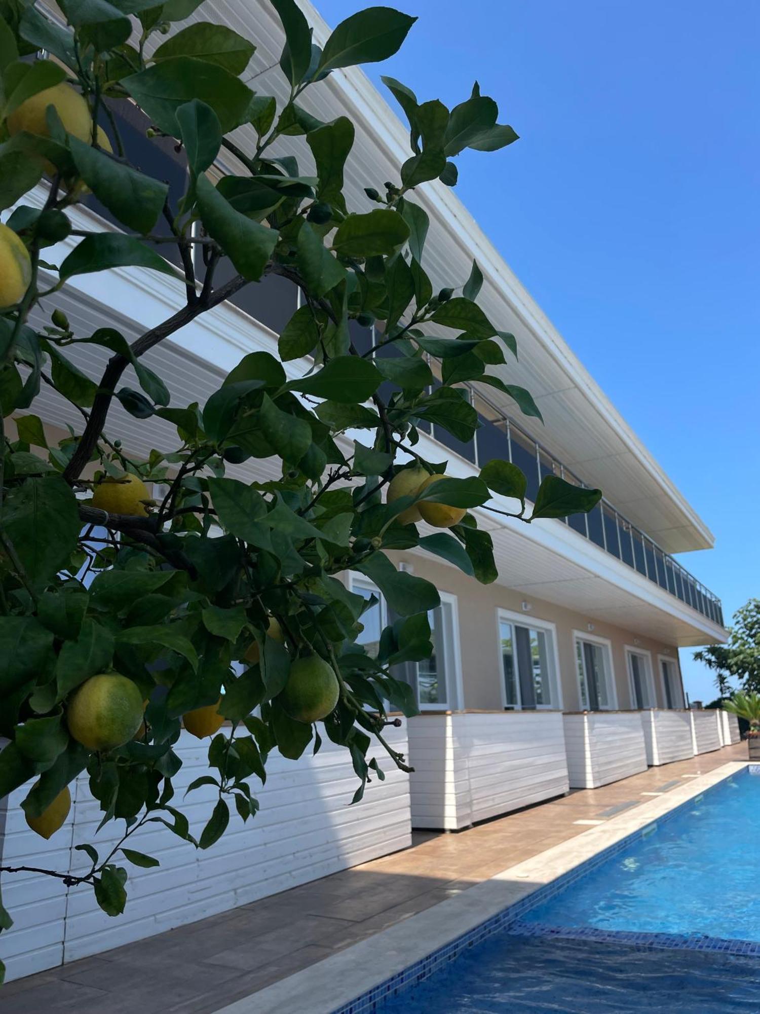 Gradina Holiday Sozopol Eksteriør billede